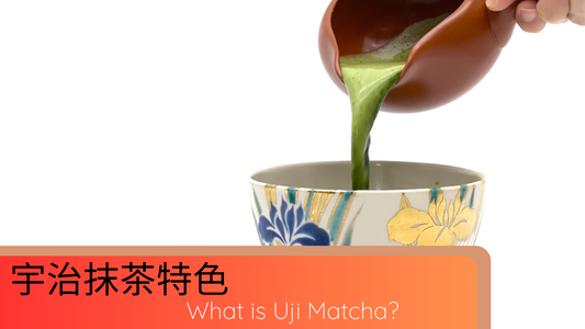 宇治抹茶有甚麼特別?What is Uji Matcha?