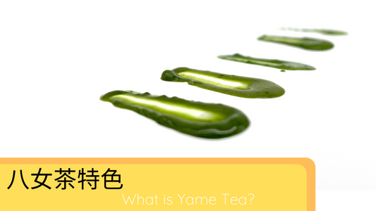 八女抹茶是甚麼?What is Yame Tea?