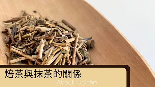 焙茶與抹茶的關係?About Hojicha
