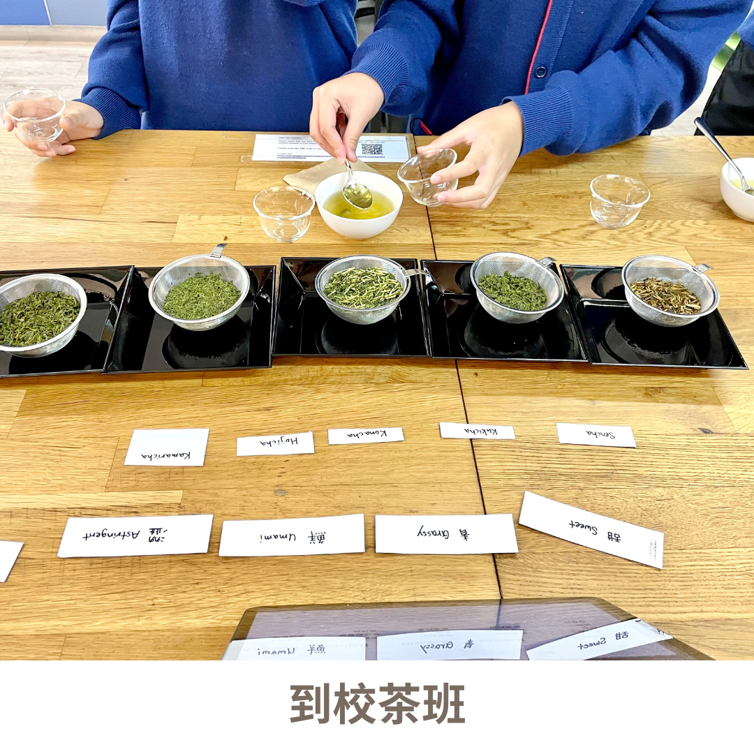 抹茶體驗 | 工作坊 | 課程 | 茶道到校活動 | 長者青少年活動