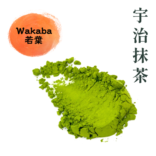 清爽宇治抹茶 若葉 粉末 | Refreshing Uji Matcha Wakaba Powder Texture