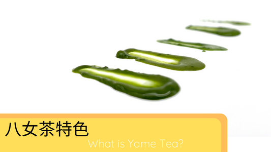 八女抹茶是甚麼？What is Yame Tea?