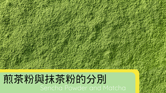 Sencha Powder and Matcha