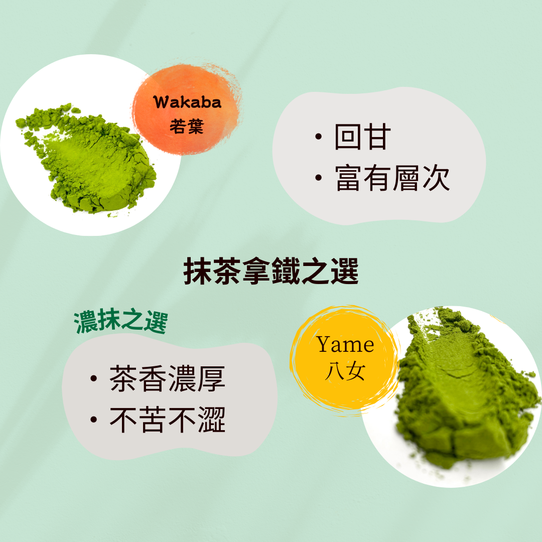 八女抹茶