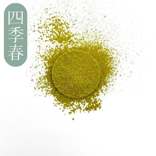 清新花香四季春烏龍茶粉 粉末 | Fresh Floral Sijichun Oolong Tea Powder Texture